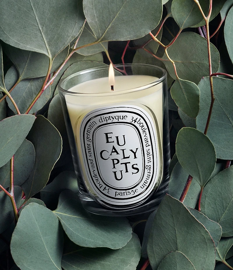 DIPTYQUE Eucalyptus Classic Candle, 6.7 oz.