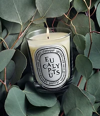 DIPTYQUE Eucalyptus Classic Candle, 6.7 oz.