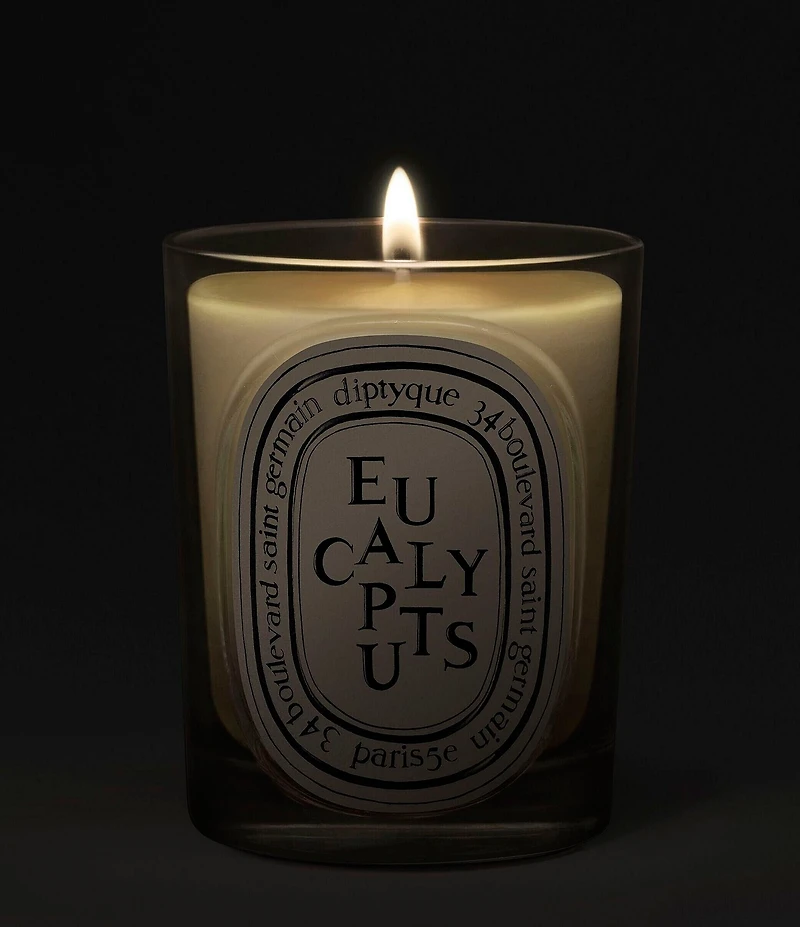 DIPTYQUE Eucalyptus Classic Candle, 6.7 oz.