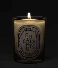 DIPTYQUE Eucalyptus Classic Candle, 6.7 oz.