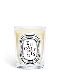 DIPTYQUE Eucalyptus Classic Candle, 6.7 oz.