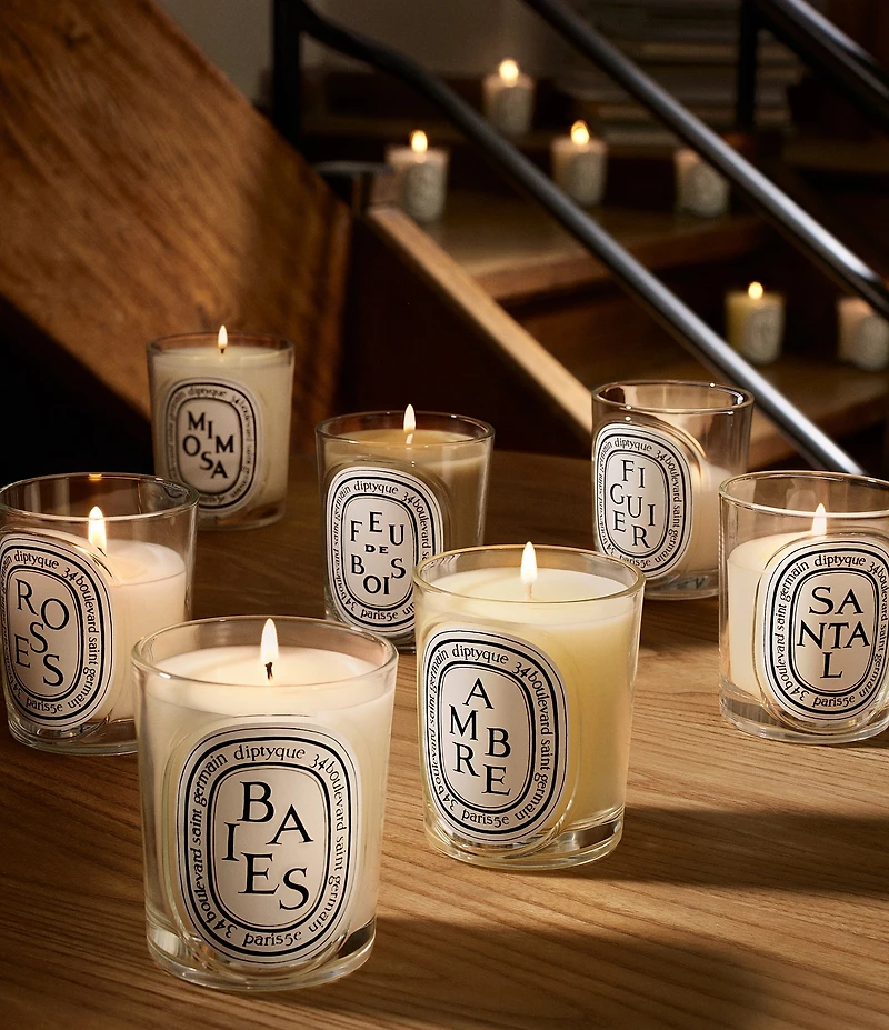 DIPTYQUE Feu de Bois (Wood Fire) Classic Candle
