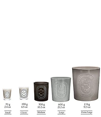 DIPTYQUE Feu de Bois (Wood Fire) Candle