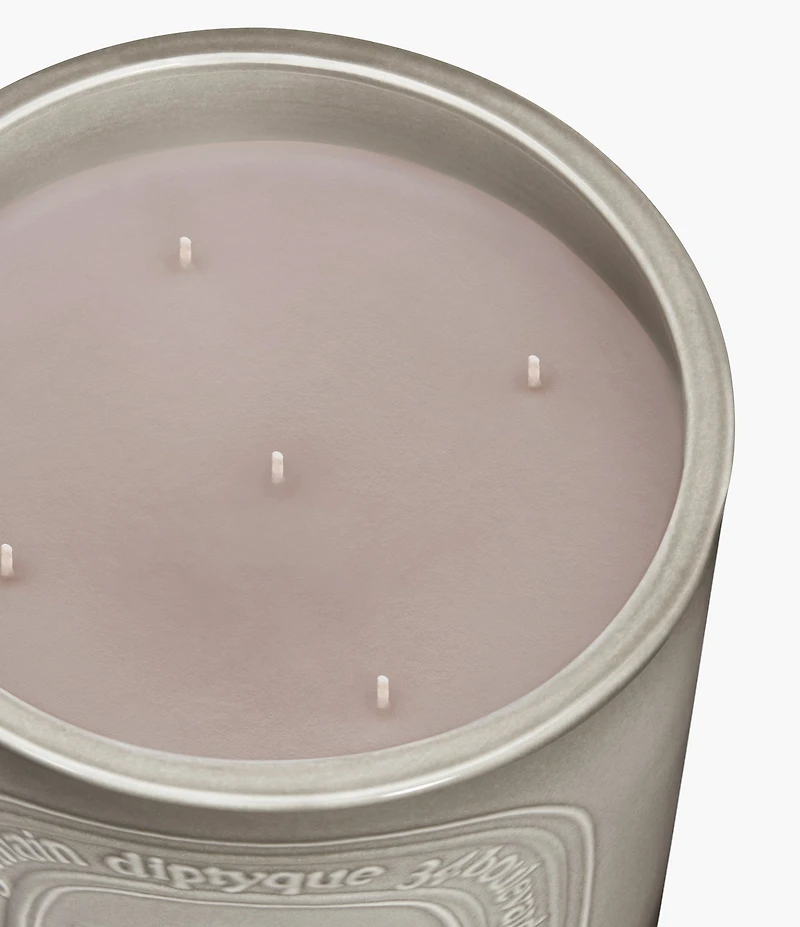 DIPTYQUE Feu de Bois (Wood Fire) Candle