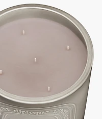 DIPTYQUE Feu de Bois (Wood Fire) Candle