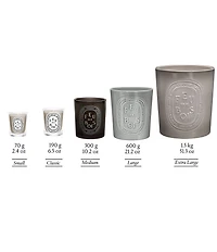 DIPTYQUE Feu de Bois (Wood Fire) Candle