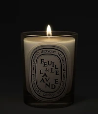 DIPTYQUE Feuille de Lavande (Lavender Leaf) Classic Candle