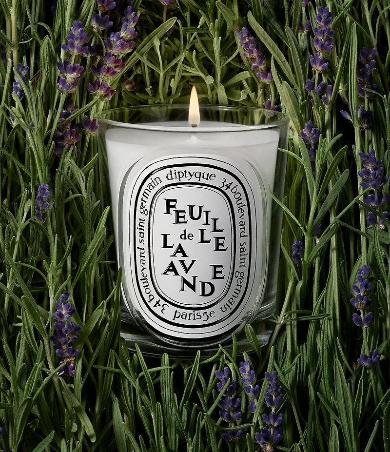 DIPTYQUE Feuille de Lavande (Lavender Leaf) Classic Candle, 6.7 oz.