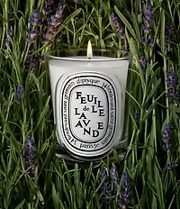 DIPTYQUE Feuille de Lavande (Lavender Leaf) Classic Candle, 6.7 oz.