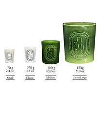 DIPTYQUE Figuier (Fig Tree) Candle