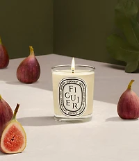 DIPTYQUE Figuier (Fig Tree) Candle