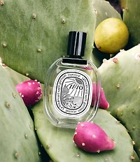 DIPTYQUE Limited Edition Ilio Eau de Toilette