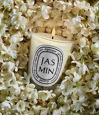 DIPTYQUE Jasmin (Jasmine) Classic Candle, 6.7 oz.