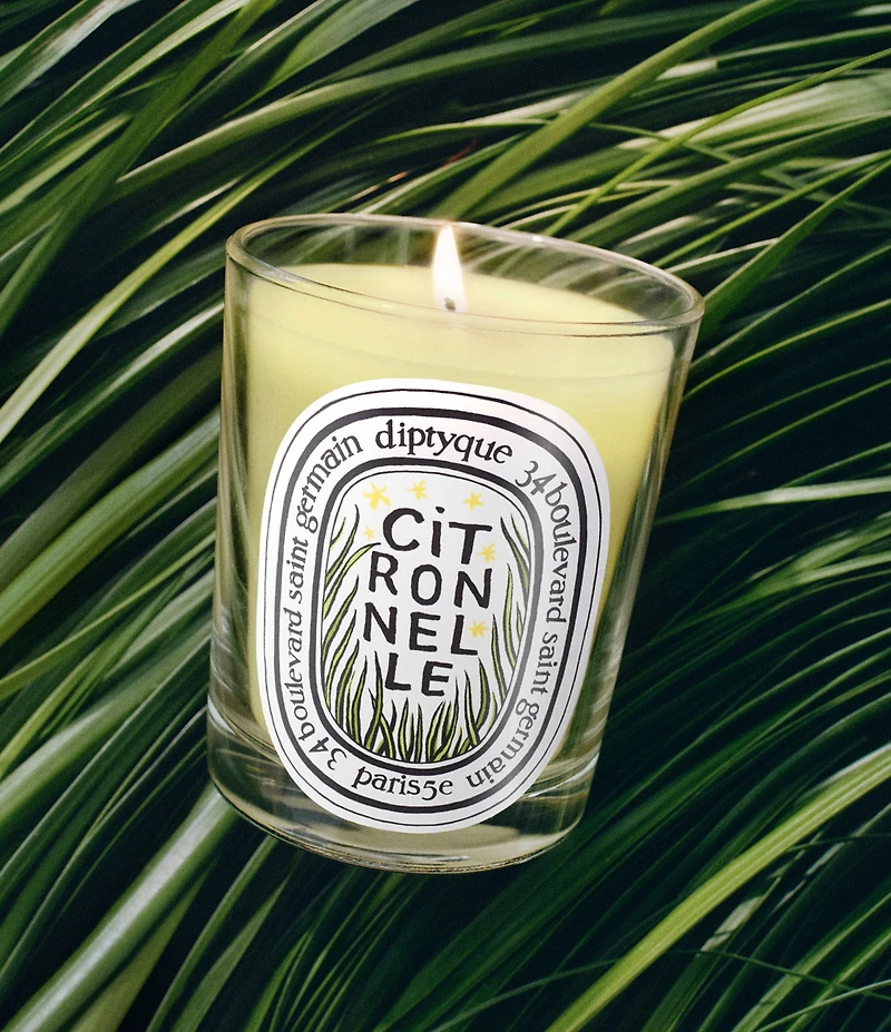 DIPTYQUE Limited Edition Citronnelle (Lemongrass) Classic Candle