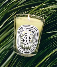 DIPTYQUE Limited Edition Citronnelle (Lemongrass) Classic Candle