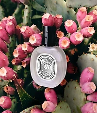 DIPTYQUE Limited Edition Ilio Hair Mist