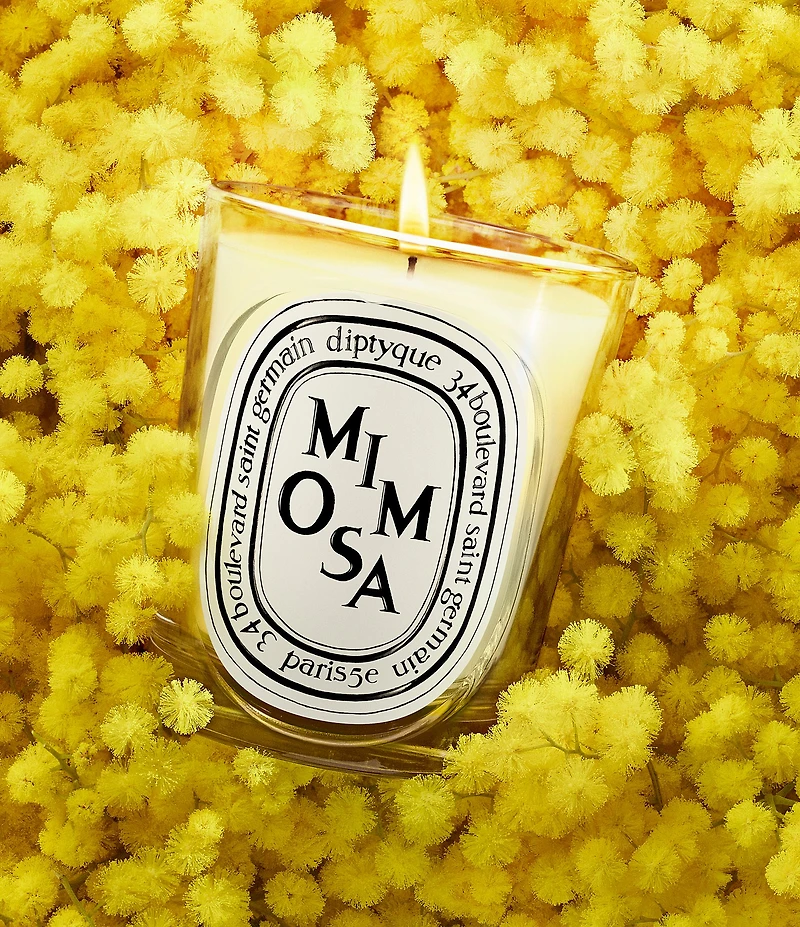 DIPTYQUE Mimosa Classic Candle