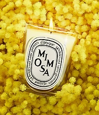 DIPTYQUE Mimosa Classic Candle