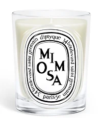 DIPTYQUE Mimosa Classic Candle