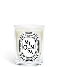 DIPTYQUE Mimosa Classic Candle, 6.7 oz.