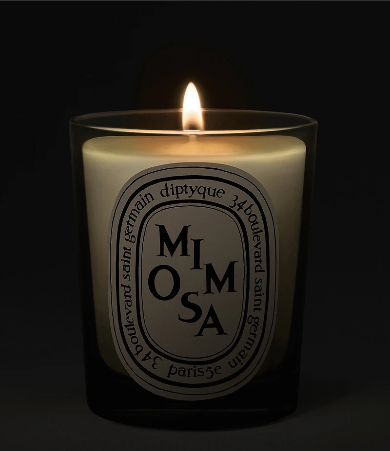 DIPTYQUE Mimosa Candle