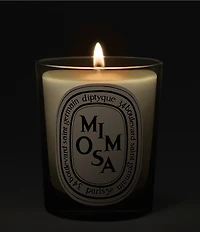 DIPTYQUE Mimosa Candle