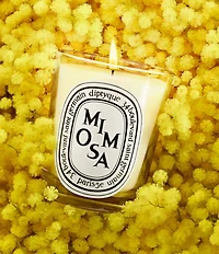DIPTYQUE Mimosa Candle