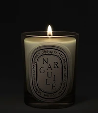 DIPTYQUE Narguile Classic Candle