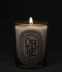 DIPTYQUE Ortie (Nettle) Classic Candle