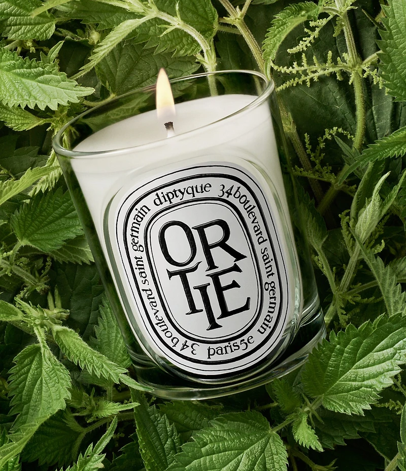 DIPTYQUE Ortie (Nettle) Classic Candle, 6.7 oz.