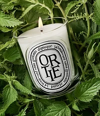 DIPTYQUE Ortie (Nettle) Classic Candle, 6.7 oz.