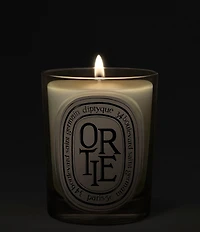 DIPTYQUE Ortie (Nettle) Classic Candle, 6.7 oz.