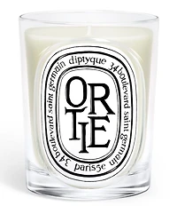 DIPTYQUE Ortie (Nettle) Classic Candle