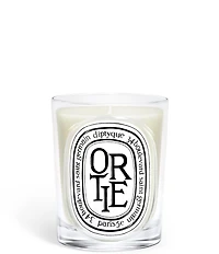 DIPTYQUE Ortie (Nettle) Classic Candle, 6.7 oz.