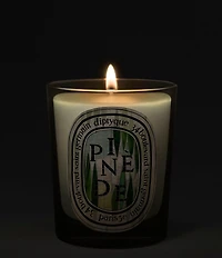 DIPTYQUE Pinede (Pine Grove) Classic Candle