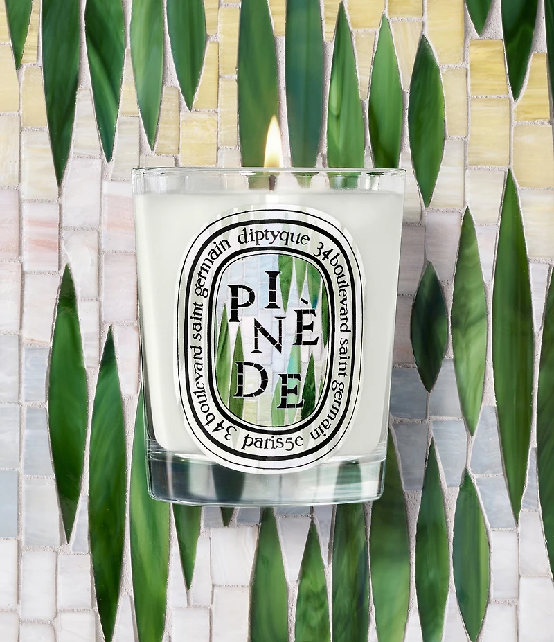 DIPTYQUE Pinede (Pine Grove) Classic Candle, 6.7 oz.