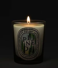 DIPTYQUE Pinede (Pine Grove) Classic Candle, 6.7 oz.