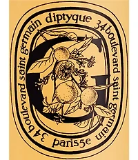 DIPTYQUE Revitalizing Body and Hair Shower Gel