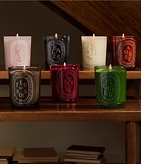 DIPTYQUE Roses Medium Candle