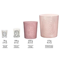 DIPTYQUE Roses Candle