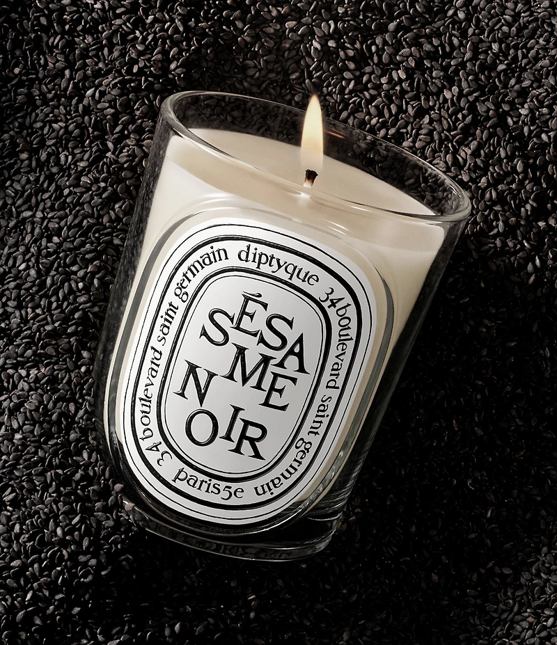 DIPTYQUE Sesame Noir (Black Sesame) Classic Candle, 6.7 oz.