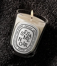 DIPTYQUE Sesame Noir (Black Sesame) Classic Candle, 6.7 oz.