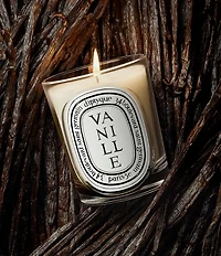 DIPTYQUE Vanille (Vanilla) Classic Candle, 6.7 oz.