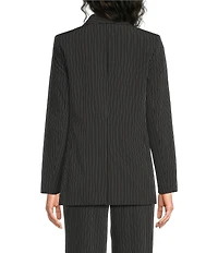 DKNY by Donna Karan Coordinating Pinstripe Commuter Blazer