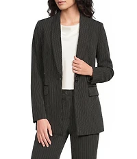 DKNY by Donna Karan Coordinating Pinstripe Commuter Blazer