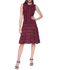 DKNY By Donna Karan Lace Sleeveless Jewel Neck Fit and Flare Dress