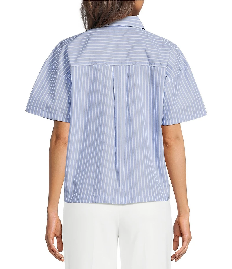 DKNY by Donna Karan Stripe Point Collar Short Sleeve Button Front Shirt