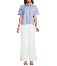 DKNY by Donna Karan Stripe Point Collar Short Sleeve Button Front Shirt