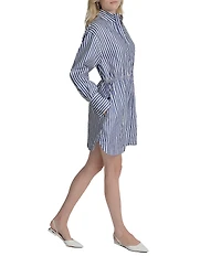 DKNY by Donna Karan Striped Cotton Poplin Long Sleeve Cinched Drawstring Shirtdress