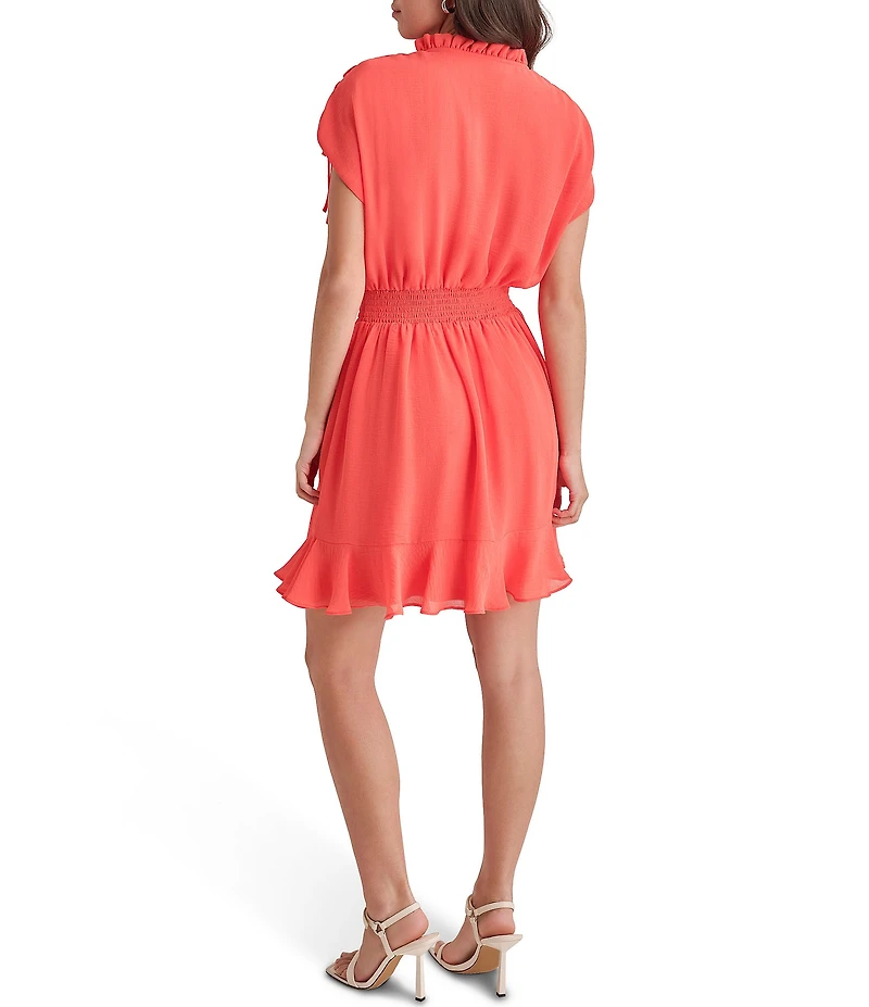 DKNY by Donna Karan Round Tie Neck Short Sleeve Smocked Waist Mini Dress